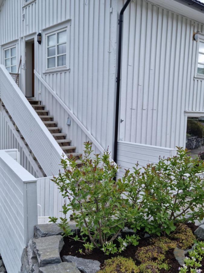 Loftsleilighet Midt I Sentrum Skjervoy Εξωτερικό φωτογραφία