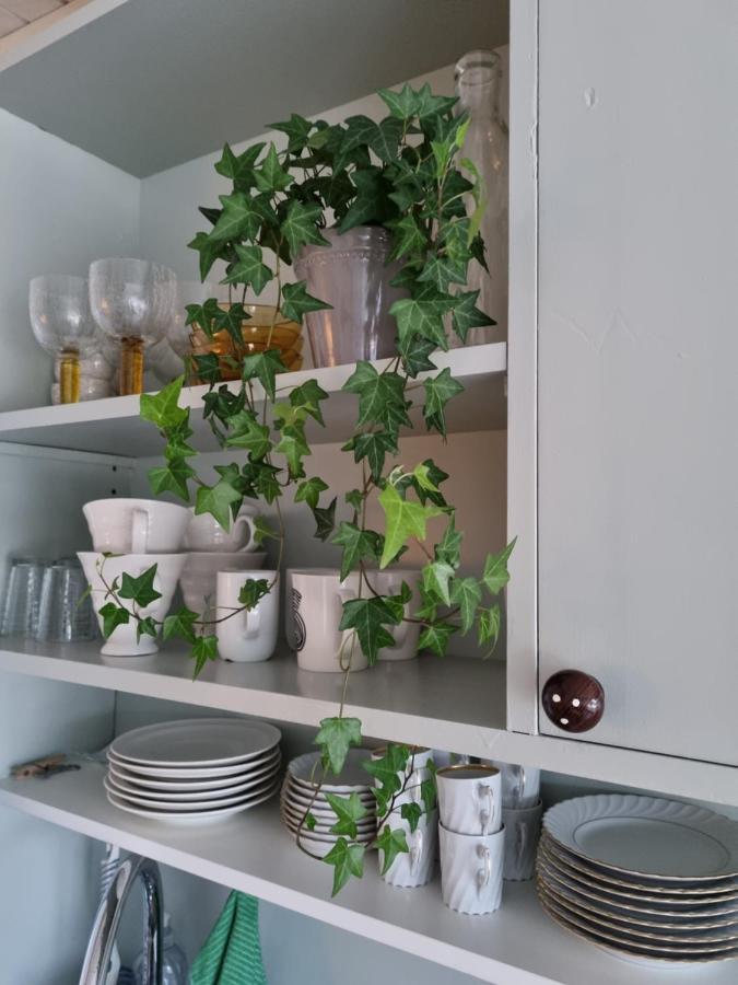 Loftsleilighet Midt I Sentrum Skjervoy Εξωτερικό φωτογραφία